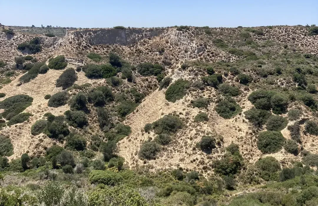 Gallery image for Coastal Cliffs & Hiking Experience